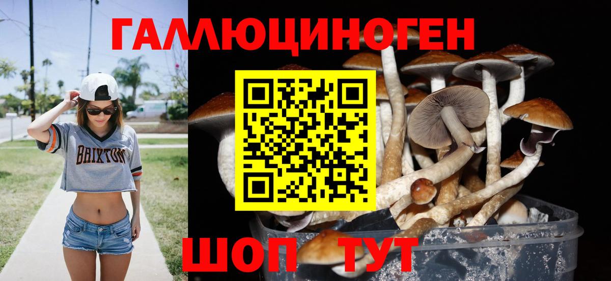 Псилоцибиновые грибы ЛСД  Вход с VPN  Галлюциногенные грибы MAGIC MUSHROOMS  Гусев 
